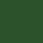 ral 6005 5