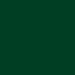 ral 6009 5